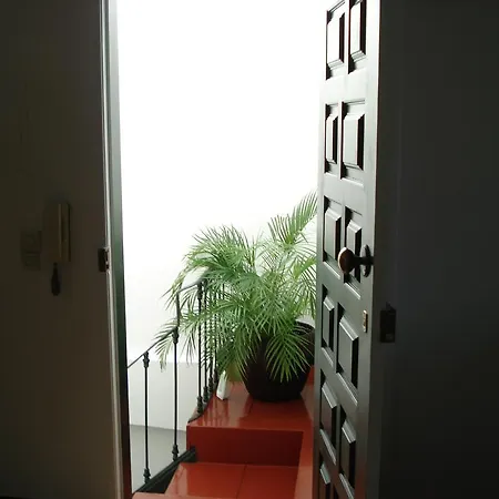 Belen Center Riverview Лиссабон
